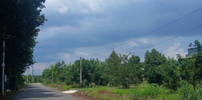 Chốt nhanh lô đất 167.2m2 tại xã An Linh, Phú Giáo, mặt tiền 5m, giá 590 triệu