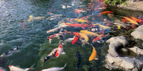 Chỉ 1 tỷ sở hữu 1 lô đất tại TP. HCM (mới) trong khu đô thị hiện đại