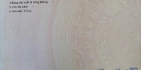 BÁN CẶP NỀN ĐẸP KDC BÌNH NHỰT ĐƯỜNG F2 TRỤC CHÍNH LỘ 27M