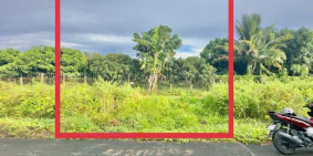  BÁN NỀN MẶT TIỀN NGUYỄN VIẾT XUÂN – GIÁ CHỈ 550 TRIỆU (có TL nhẹ)