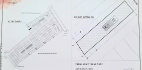 Cần tiền bán gấp ô đất LK25.03 - TMS Grand City Phúc Yên - Giá tốt nhất KĐT