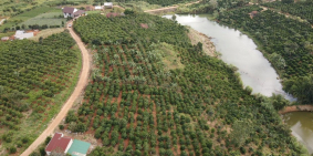 2.600m2 sẵn 100mTC ven Đà Lạt 769tr/xào