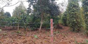 Bán đất thôn 3 xã Eata huyện Cư M'gar tỉnh ĐakLak