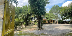 Cần Bán GẤP Đất tại Phường Phú Mỹ – TP. HCM cho Người lập tự