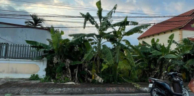 Đất mặt đường Nghĩa Phương – kinh doanh đỉnh, giá chỉ 2x triệu/m²  ZALO 0567