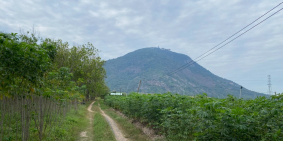 Gia đình bán gấp 117 mét mặt đường phường Ninh Thạnh, Tây Ninh 39 triệu 1 mét