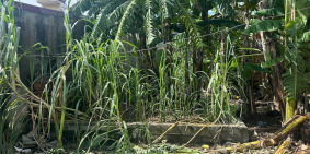 SIÊU PHẨM CẠNH CẦU VƯỢT HẢI THÀNH – GIÁ HIẾM DƯỚI 3 TỶ  ZALO 0567 222 555