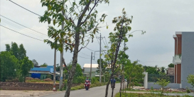 Bán đất đẹp Trung Tâm Thị Trấn Cần Đước - Đường cầu Quyết Tâm