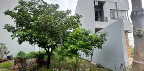 Chủ Ngộp| Nền Đất Mặt Tiền 5x24m Vị Trí Đẹp| KDC Phú Lợi, Phạm Thế Hiển F.7 Q.8