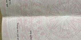 Đất chung cư Quỳnh Hoàng An Dương Hải Phòng