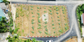 “Bất động sản Hòa Bình cất cánh: Đất nền 2 mặt tiền, giá chỉ từ 6xx triệu/lô”