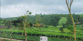 BẢO LỘC: GIÁ SỐC 1.29 TỶ - LÔ ĐẤT DUY NHẤT FULL THỔ CƯ, SẴN RESORT!