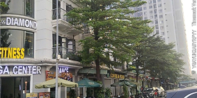 Bán Shophouse khu phức hợp Vincom Plaza, Giá chỉ 12,2 tỷ – Kinh doanh siêu đỉnh