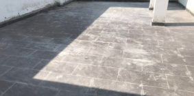 bán biệt thự cần giờ chính chủ