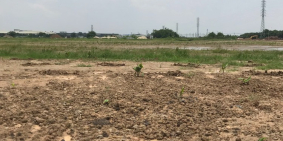 Chuyển nhượng 40.000m2 khu công nghiệp Hữu Lũng – Lạng Sơn, bàn giao sớm.