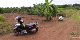 Kẹt tiền: Cần bán sào Đất giá rẻ tại Đông Hòa ,Trảng Bom, Đồng Nai