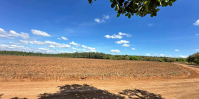 2000m2 ngay tuyến 2 Xuyên Tâm, 410tr SHR, Bình Phước mặt tiền đường 20