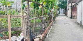 Khủng hoảng đất đai ở Tam Giang