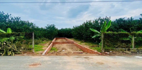 SỞ HỮU ĐẤT THỔ CƯ TẠI TP HỒ CHÍ MINH - TĂNG VƯỜN BƯỞI ĐANG THU HOẠCH CHỈ VỚI 250