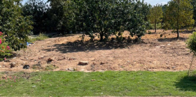 CÒN 1 cặp liền kề ngang 10m sâu 50m anh chị ơi