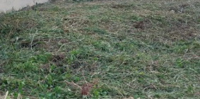  CHÍNH CHỦ BÁN GẤP - GIÁ ĐẦU TƯ - SỔ SẴN CÔNG CHỨNG NGAY 