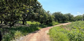 Bán đất 13429,7m2 xã Phú Ngọc Định Quán Đồng Nai