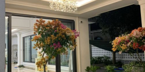 Villa siêu đẳng cấp ngay TTTM Song Hành, An Phú, Q.2. Khu Estella Cantavil, 12x20, 47 tỷ