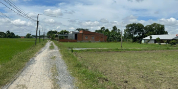 bán đất đức hoà thượng, 100m2 đất thổ cư đường ô-tô tới đất