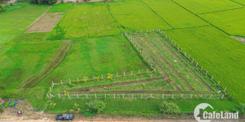 đất mặt tiền sông Sài Gòn cần bán. 