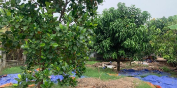 Bán gấp, nhà vườn 615 m2 , nhà đúc BTCT , Nguyễn Văn Tạo, Nhà Bè.