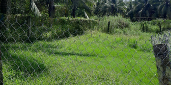 Thanh ly miếng đất đẹp có sẵn thổ cư