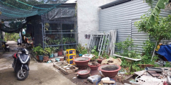 Cần bán gấp miếng đất có thổ cư