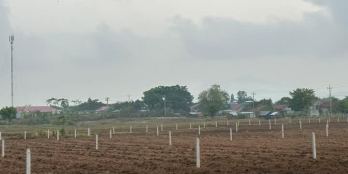 bán đất thanh lý 500m2 gần trường học Sơn Phước giá 230tr