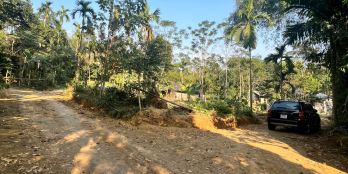 CC GỬI BÁN LÔ ĐẤT ĐẸP SẴN NHÀ SÀN VÀ VƯỜN CÂY LÂU, DIỆN TÍCH RỘNG VIEW ĐẸP . 