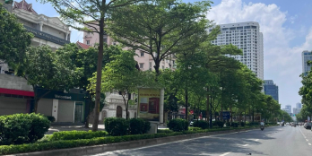 mặt ngõ Trung Kính, kinh doanh, phân lô, ô tô chạy vòng quanh nhà hơn 26 tỷ