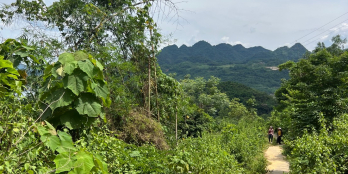 DT 1650M VIEW HỒ HB ,PHONG CẢNH NÊN THƠ ĐANG CẦN TÌM CHỦ NHÂN Ạ , GỌI E LVCC Ạ 