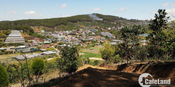 Chủ Ngộp Bán Rẻ 950tr/1000m2