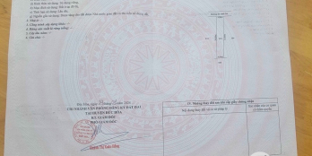 Full thổ xây dựng tự do, liền kề Vingroup
