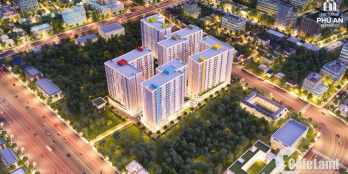 CÁT TƯỜNG GROUP: CĂN HỘ CAO CẤP THANH TOÁN TRẢ GÓP SỞ HỮU NGAY