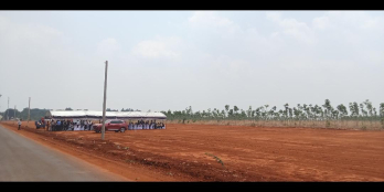 250_100 thổ cư có sổ 