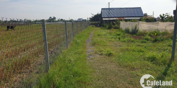 Đất Nông Nghiệp Sang Tên OK, xe hơi vô tới đất. 1.242m2, sổ đỏ riêng. 2,5 tỷ