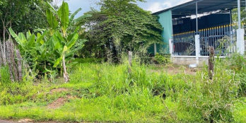 TRẢ GIÁ LÀ BÁN.ĐẤT MT DT 785,TÂN CHÂU,TÂY NINH.