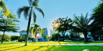 Cần bán gấp căn Biệt thự góc 2 MT KDC Phú Mỹ, 338m², giá chỉ 39 tỷ