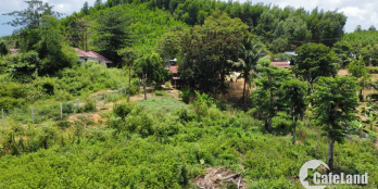 đất thổ cư view sông 461m 