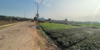 Đất Thống Nhất, Đồng Nai, không gian xanh mát - cơ hội đầu tư tiềm năng