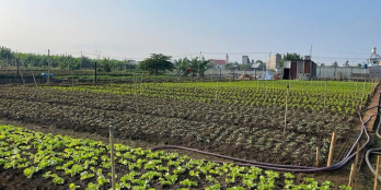 Sở Hữu Đất Nền Vàng Tại Thống Nhất, Đồng Nai – Cơ Hội Đầu Tư Không Thể Bỏ Lỡ