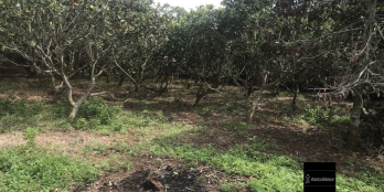 đất cần bán gần khu công nghiệp sonadezi liên hệ chính chủ 0898869752