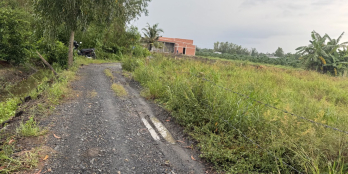 CẦN BÁN ĐẤT VƯỜN GIÁ TỐT – SỔ HỒNG RIÊNG 