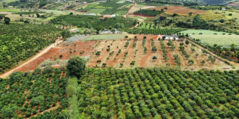  Ngay chủ bán  đất đường liên xã Mê Linh -Phi Tô. Lâm Hà. Lâm Đồng! 