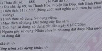 Cần bán đất ấp 9 xã Thanh Hòa huyện Bù Đốp